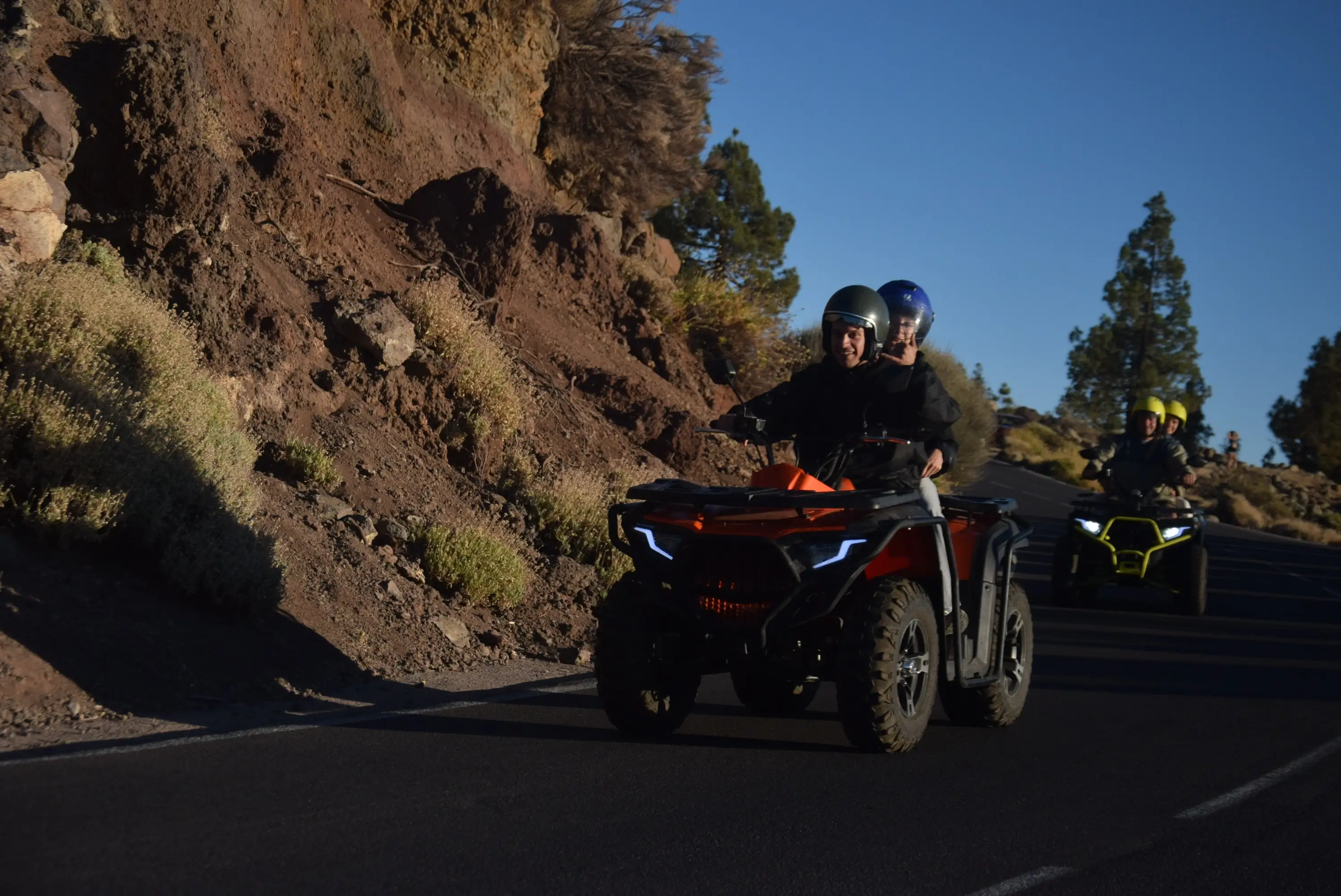 Quad trail through Canarian pines